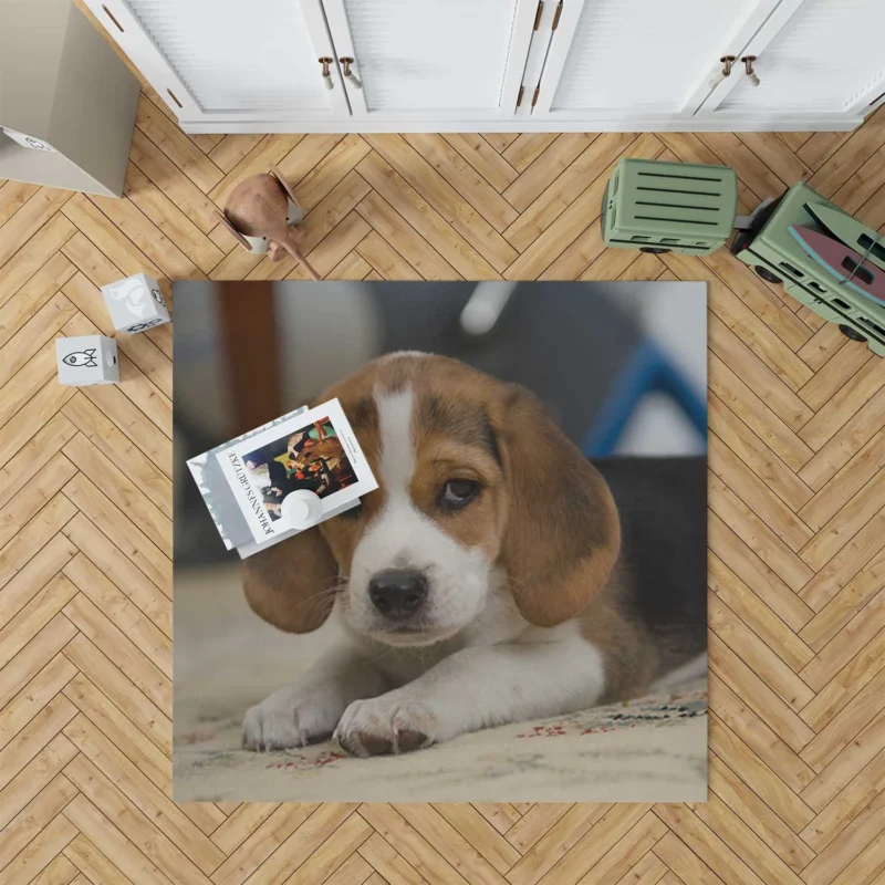 Cute Ba with Puppy Charm and Playfulness: Beagle Puppy Floor Rug