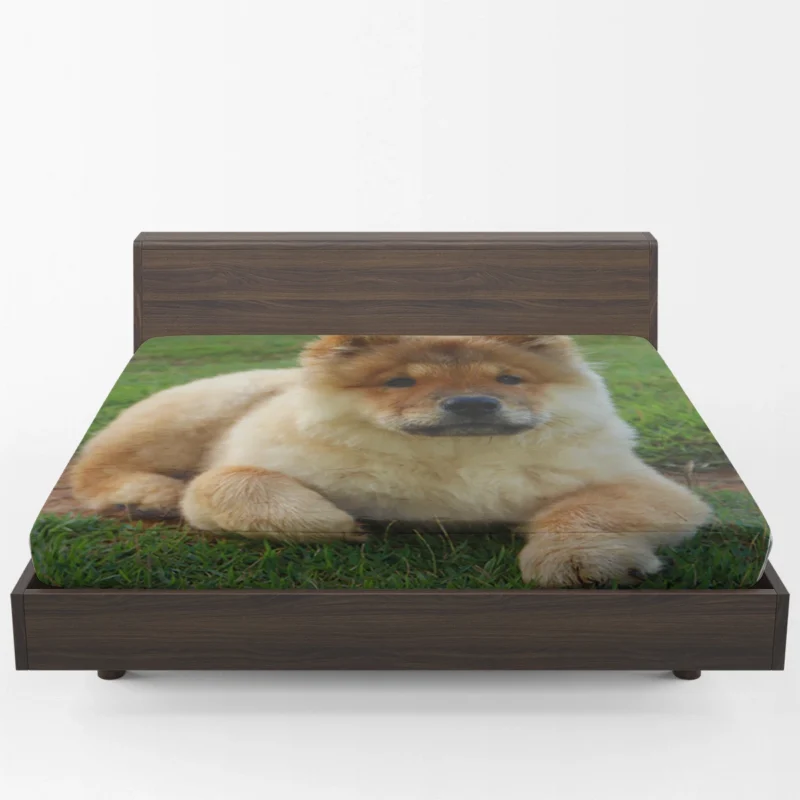 Cute Bauble: Chow Chow Quartet Fitted Sheet 1