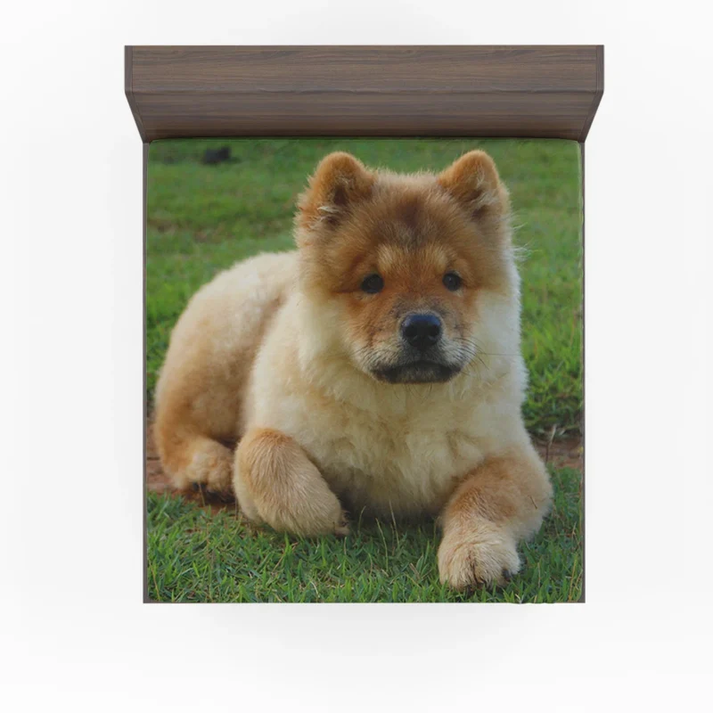 Cute Bauble: Chow Chow Quartet Fitted Sheet