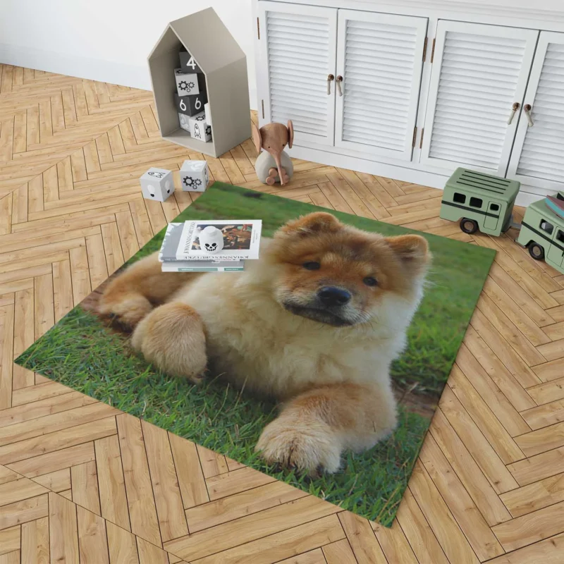 Cute Bauble: Chow Chow Quartet Floor Rug 1