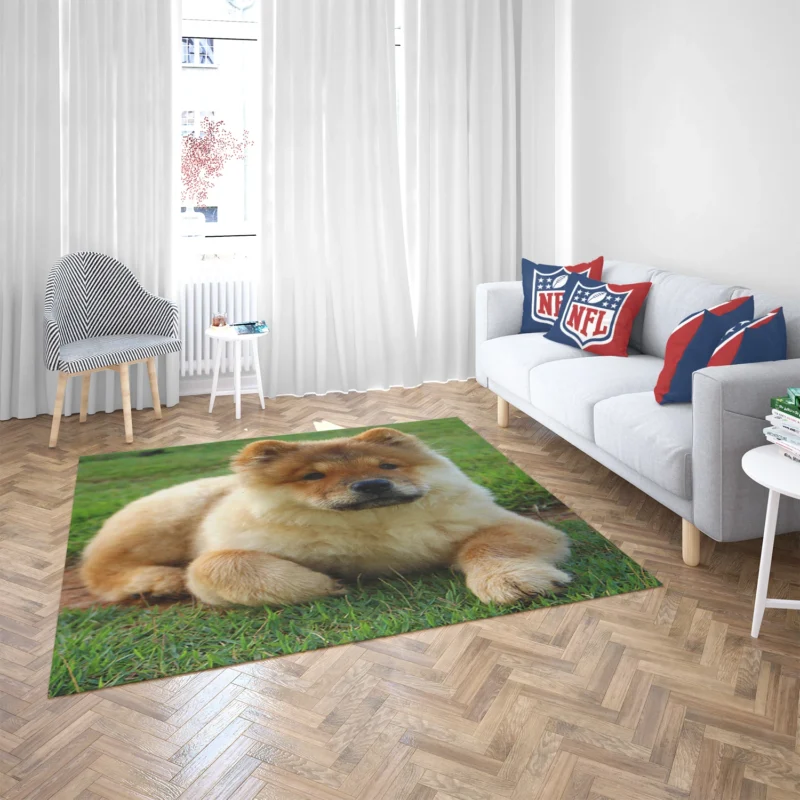 Cute Bauble: Chow Chow Quartet Floor Rug 2