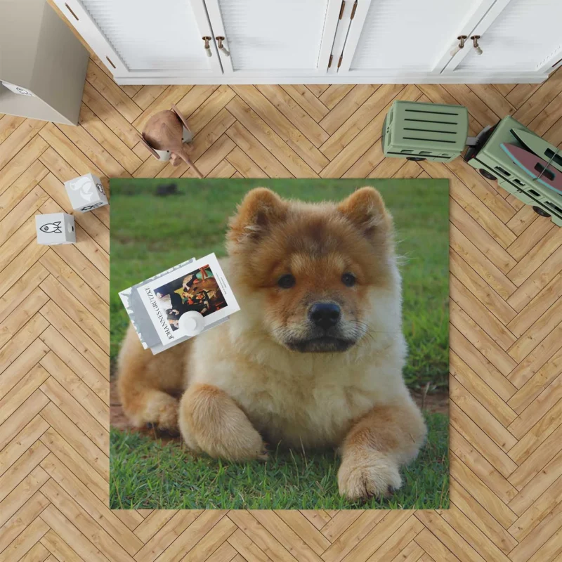 Cute Bauble: Chow Chow Quartet Floor Rug