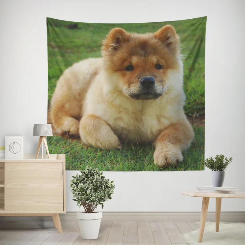 Cute Bauble  Chow Chow Quartet Wall Tapestry