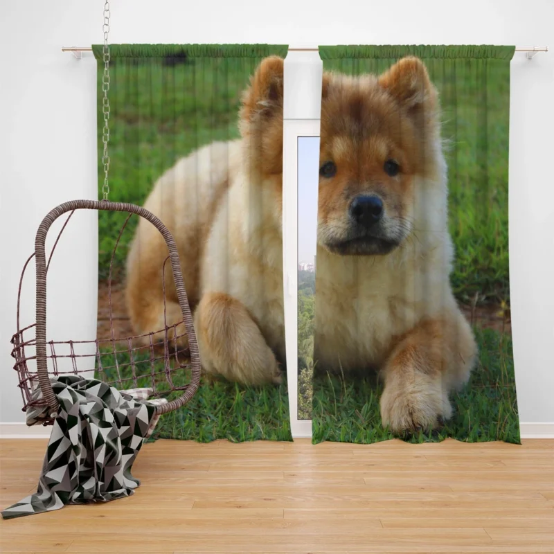 Cute Bauble: Chow Chow Quartet Window Curtain