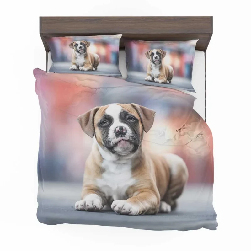 Cute Boxer Puppy Moments with Ba: Boxer Bedding Set 1