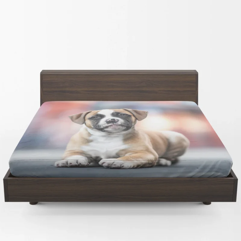 Cute Boxer Puppy Moments with Ba: Boxer Fitted Sheet 1