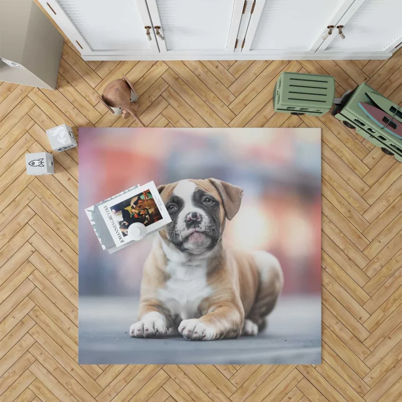 Cute Boxer Puppy Moments with Ba: Boxer Floor Rug