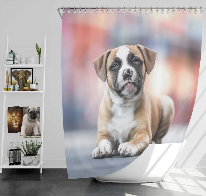 Cute Boxer Puppy Moments with Ba: Boxer Shower Curtain