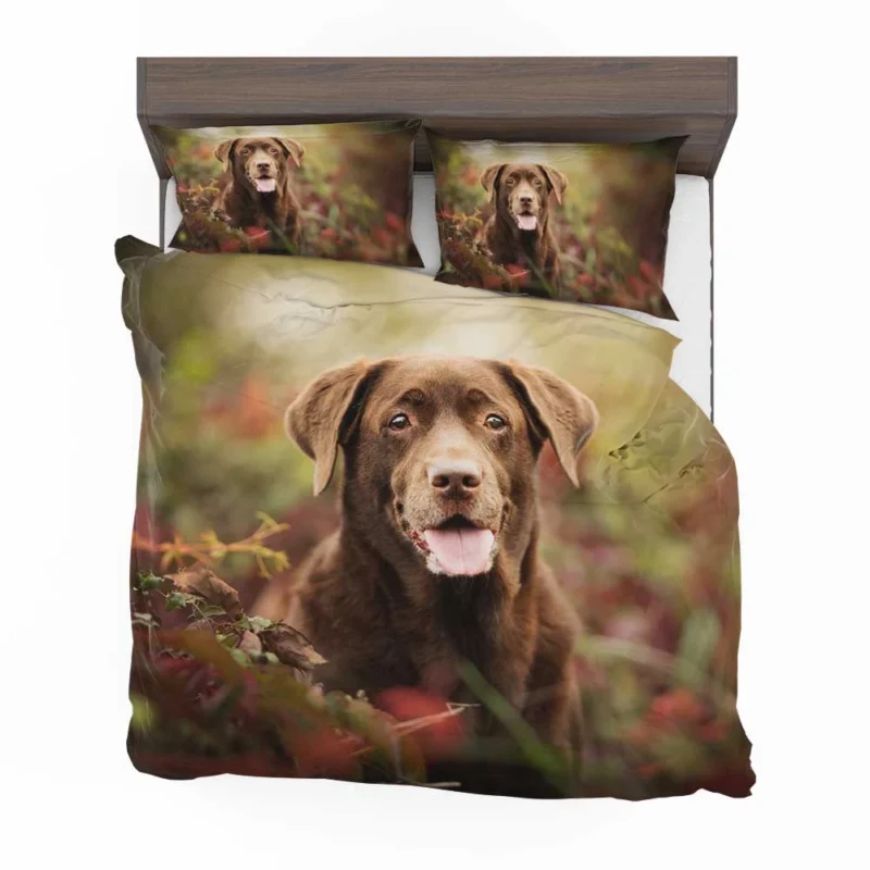 Cute Canine Charm: Labrador Puppy Quartet Bedding Set 1