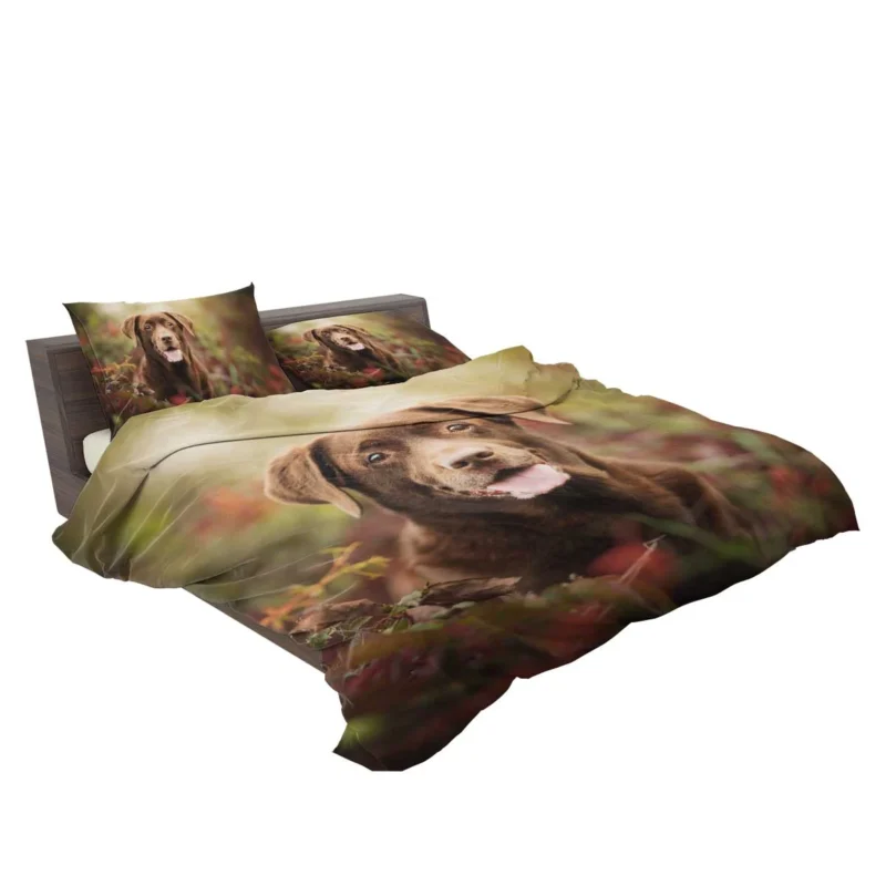 Cute Canine Charm: Labrador Puppy Quartet Bedding Set 2