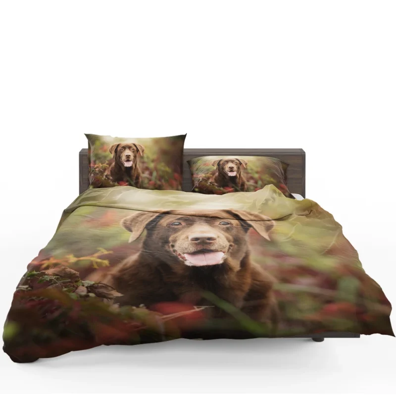 Cute Canine Charm: Labrador Puppy Quartet Bedding Set