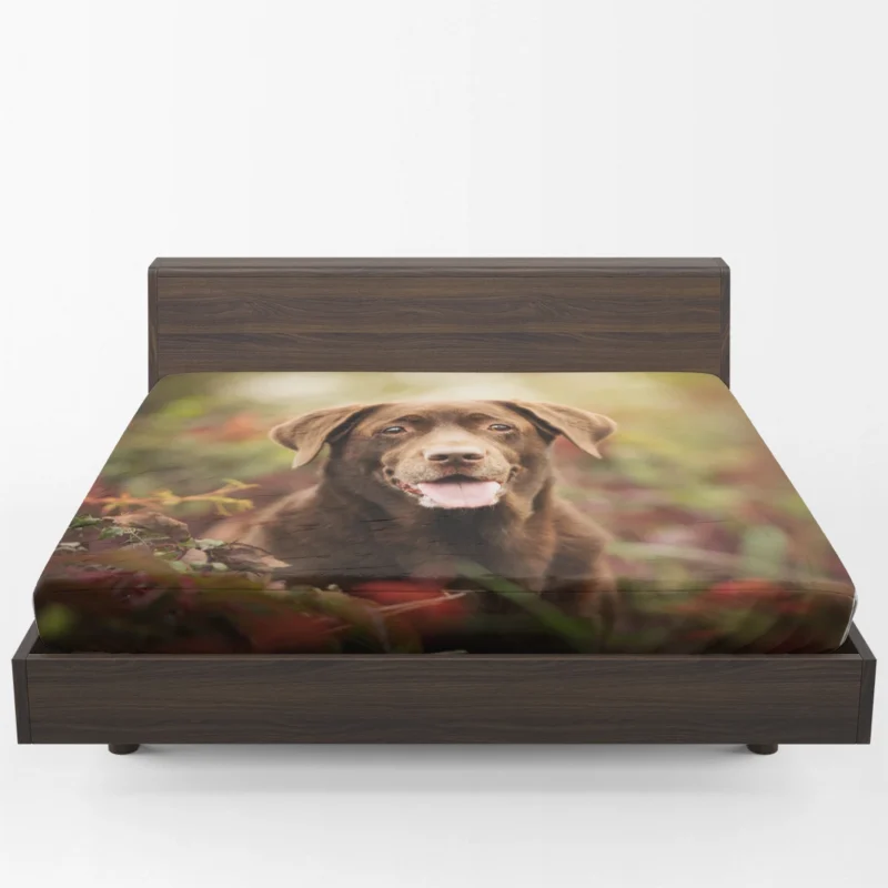 Cute Canine Charm: Labrador Puppy Quartet Fitted Sheet 1