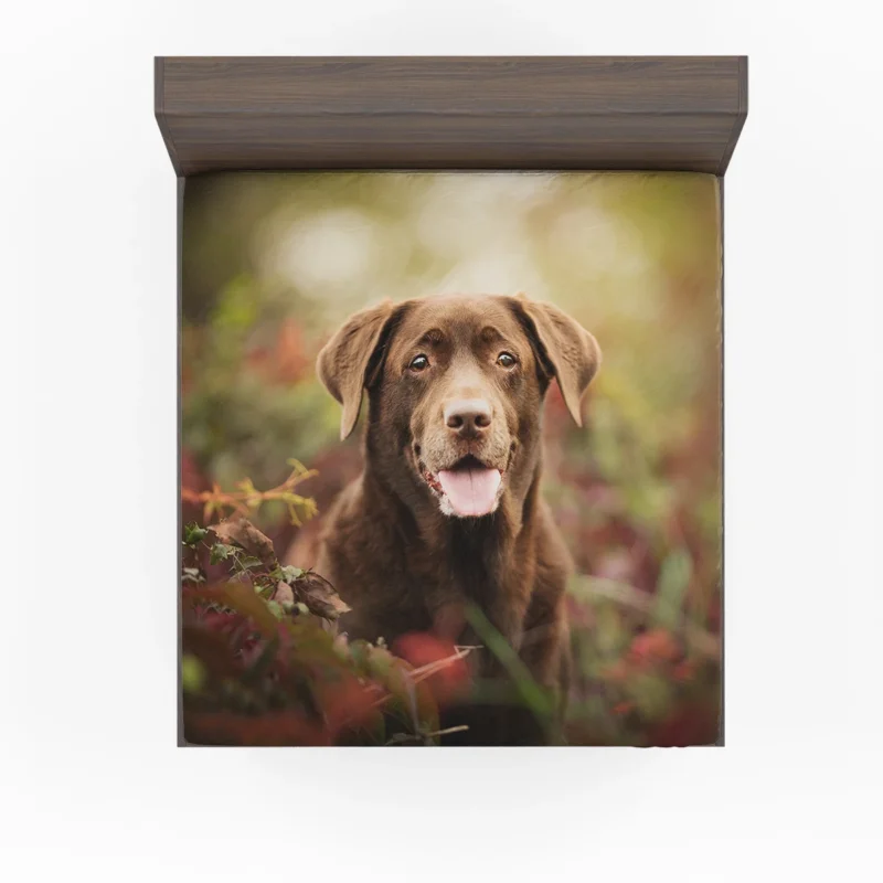 Cute Canine Charm: Labrador Puppy Quartet Fitted Sheet