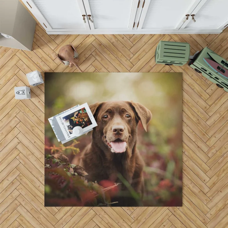 Cute Canine Charm: Labrador Puppy Quartet Floor Rug