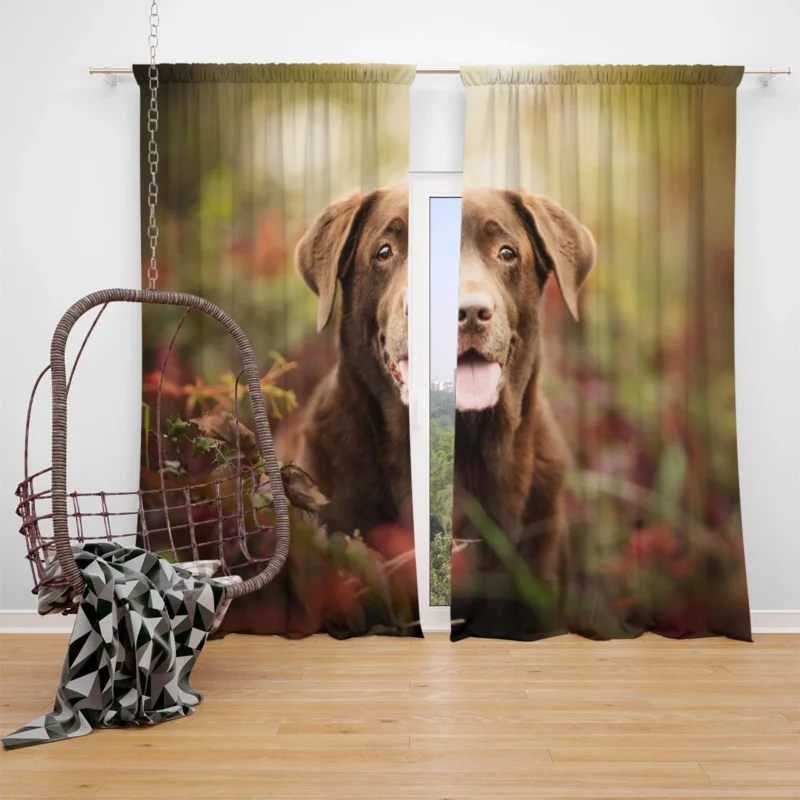 Cute Canine Charm: Labrador Puppy Quartet Window Curtain