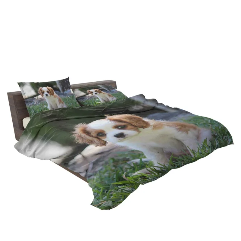 Cute Cavalier Quartet: King Cavalier Spaniel Puppies Bedding Set 2