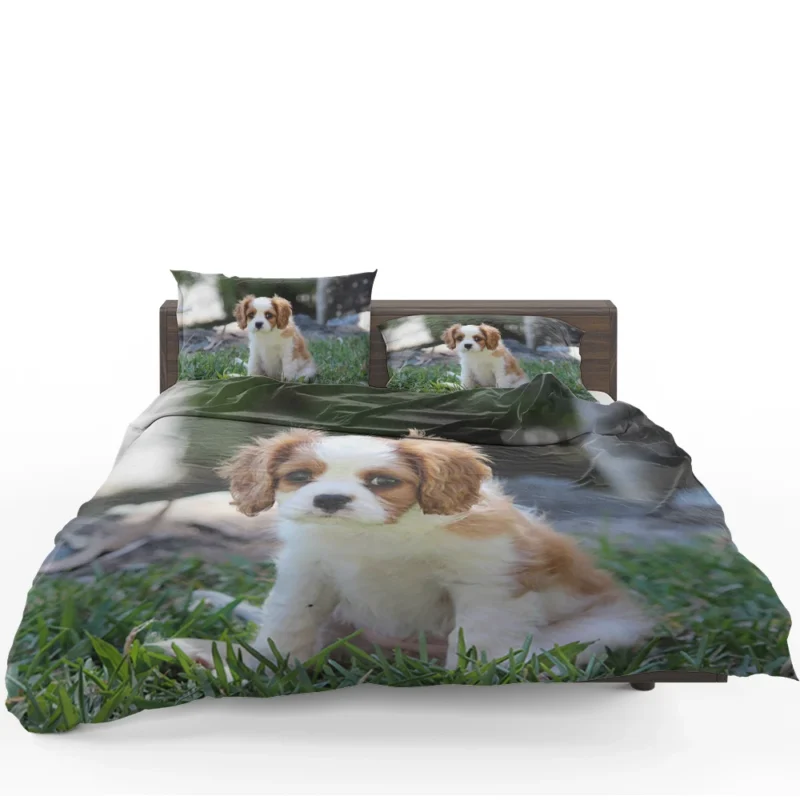 Cute Cavalier Quartet: King Cavalier Spaniel Puppies Bedding Set