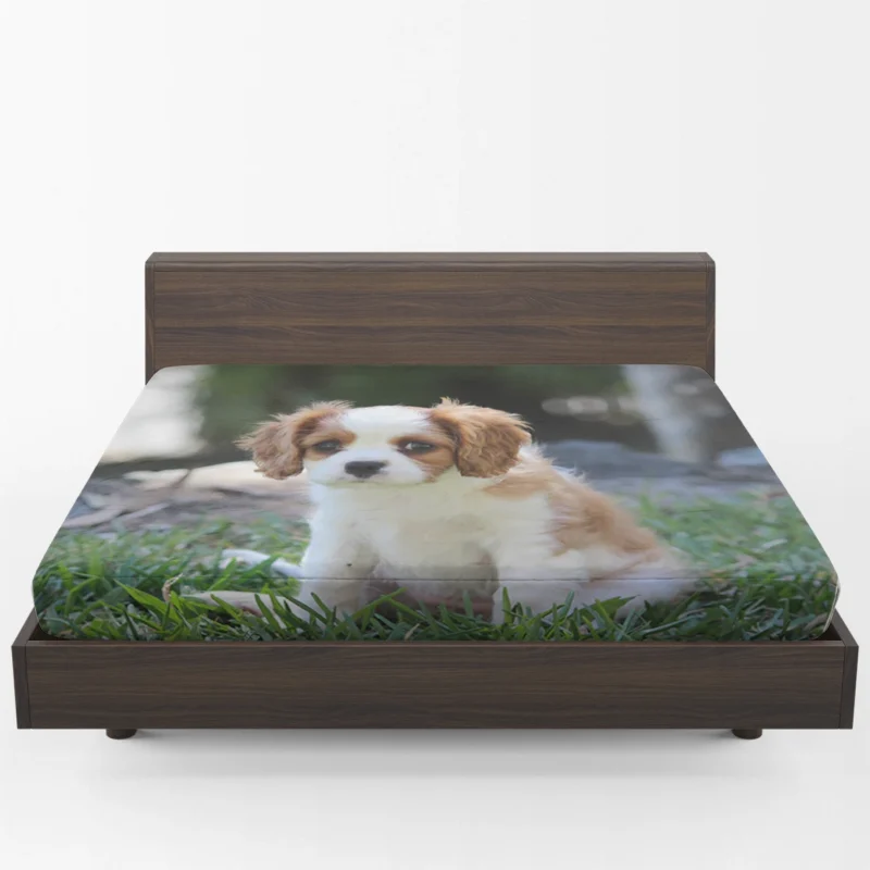 Cute Cavalier Quartet: King Cavalier Spaniel Puppies Fitted Sheet 1