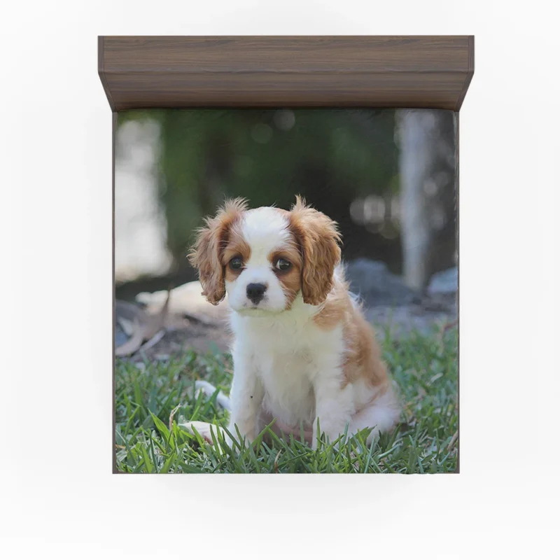 Cute Cavalier Quartet: King Cavalier Spaniel Puppies Fitted Sheet