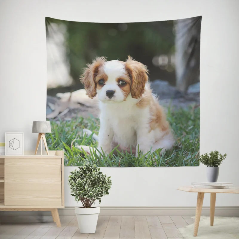 Cute Cavalier Quartet  King Cavalier Spaniel Puppies Wall Tapestry