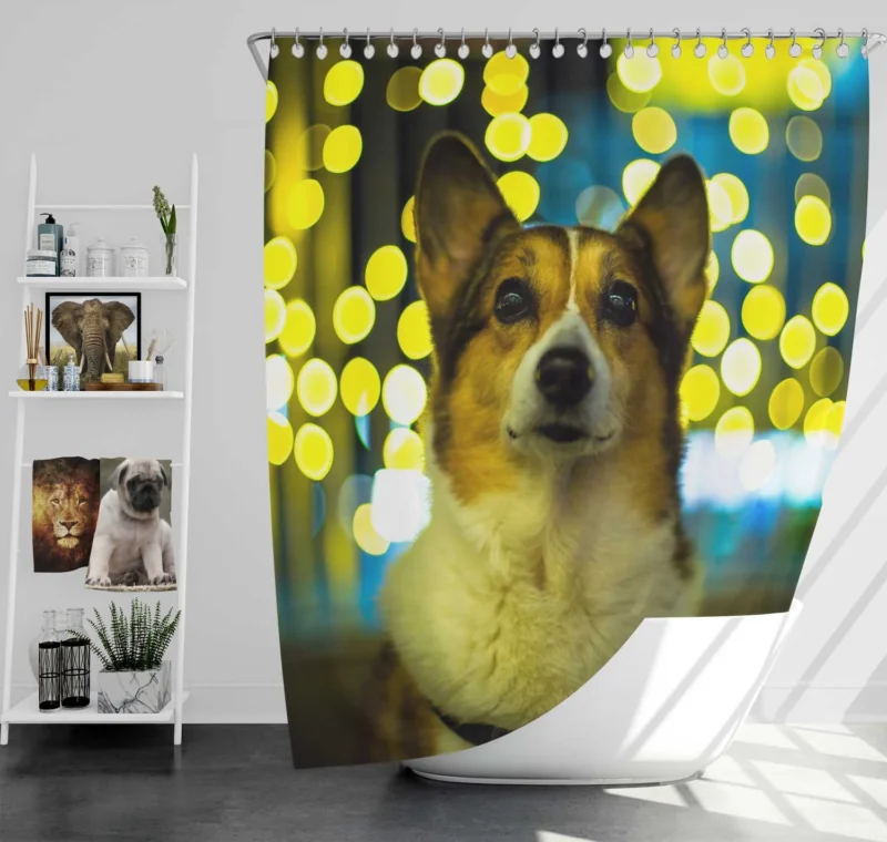 Cute Charm: Fourfold Corgi Quartet Shower Curtain