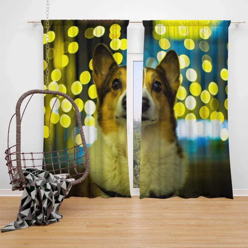 Cute Charm: Fourfold Corgi Quartet Window Curtain