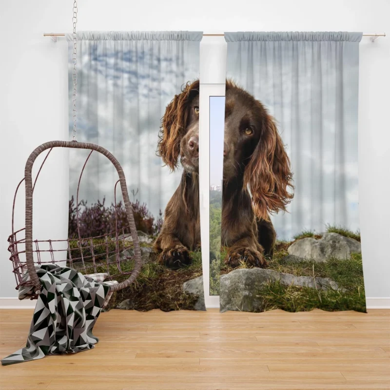 Cute Cocker Puppies in Bauble: Spaniel Quartet Window Curtain