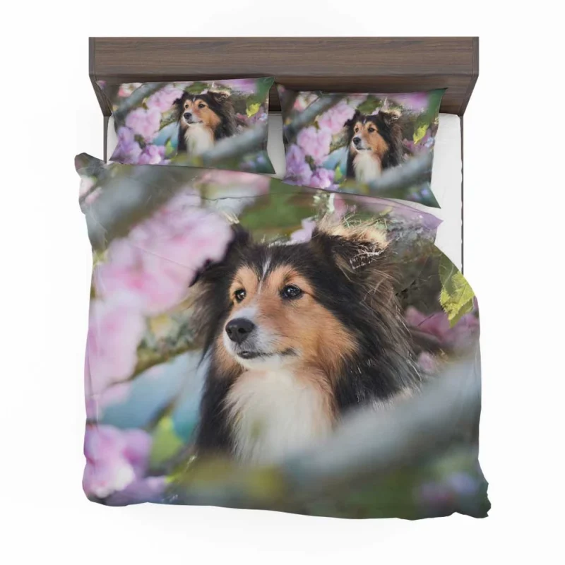 Cute Collie Muzzle Moments: Quartet Beauty Bedding Set 1