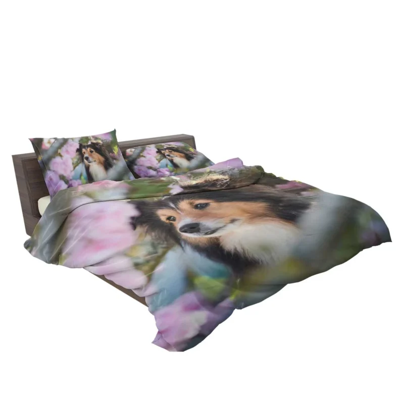 Cute Collie Muzzle Moments: Quartet Beauty Bedding Set 2