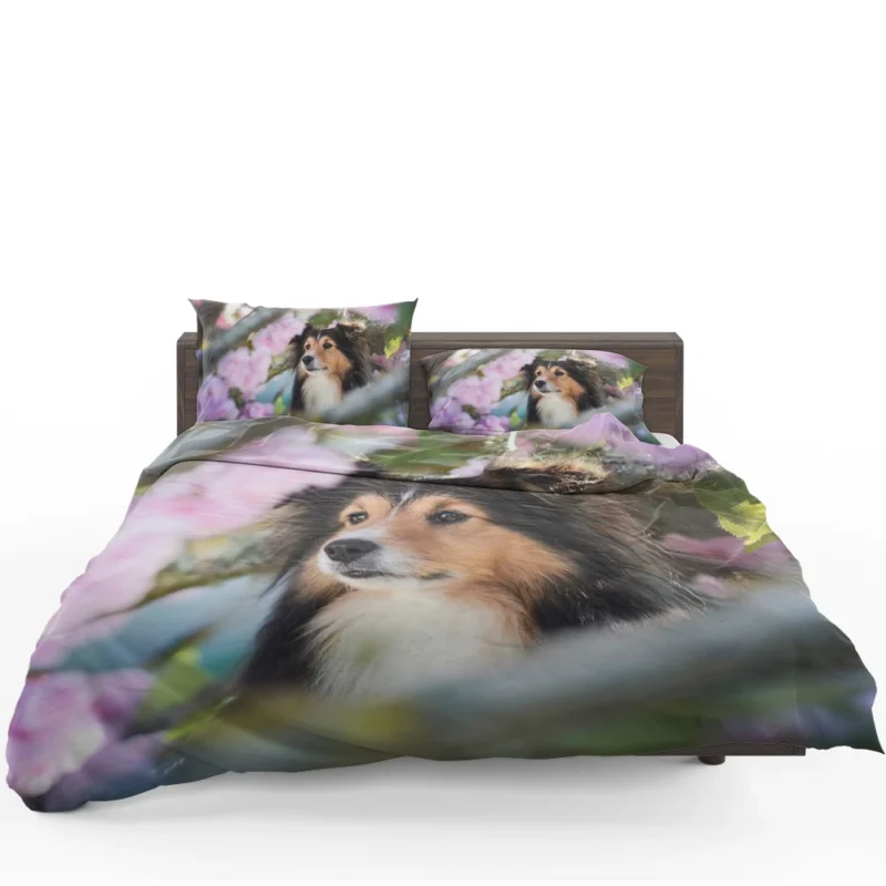 Cute Collie Muzzle Moments: Quartet Beauty Bedding Set