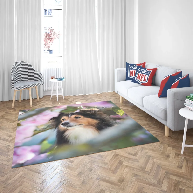 Cute Collie Muzzle Moments: Quartet Beauty Floor Rug 2