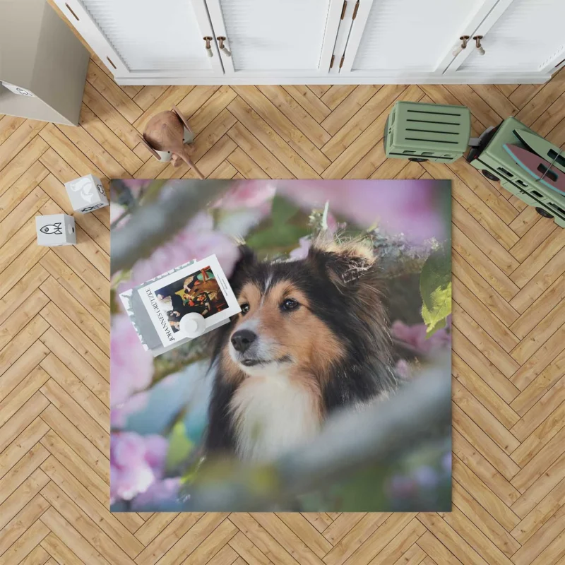 Cute Collie Muzzle Moments: Quartet Beauty Floor Rug