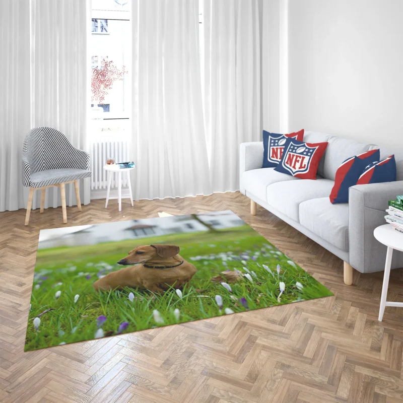 Cute Dachshund Delight: Fourfold Quartet Floor Rug 2