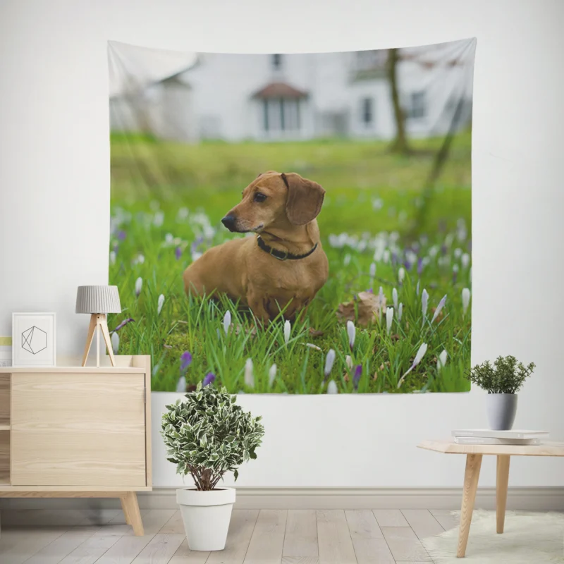 Cute Dachshund Delight  Fourfold Quartet Wall Tapestry