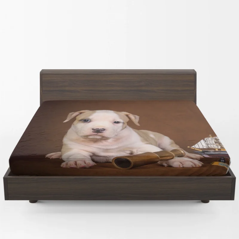 Cute Globe Pits: Pit Bull Quartet Fitted Sheet 1