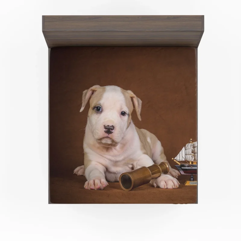 Cute Globe Pits: Pit Bull Quartet Fitted Sheet