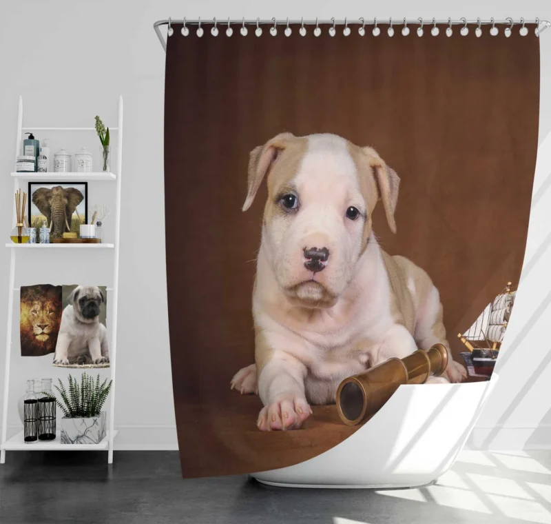 Cute Globe Pits: Pit Bull Quartet Shower Curtain