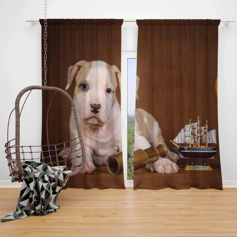 Cute Globe Pits: Pit Bull Quartet Window Curtain