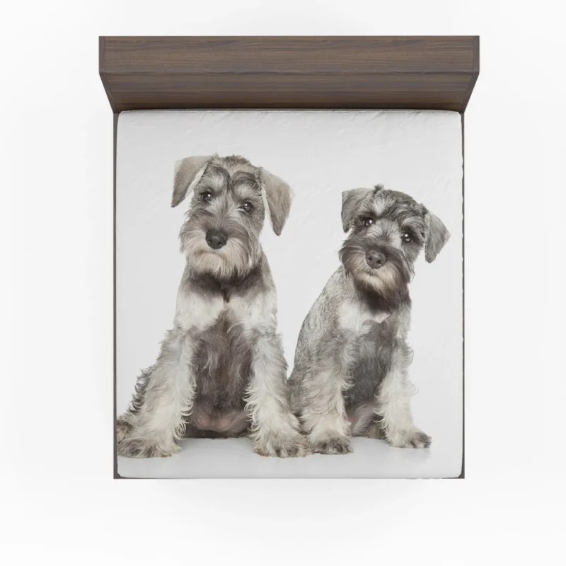 Cute Grey Schnauzers: Schnauzer Quartet Fitted Sheet