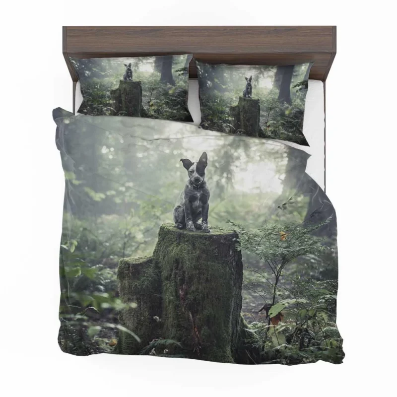 Cute Grey and Black Australian Cattle Dog on Mossy Stump in the Forest with Fog: Puppy Bedding Set 1