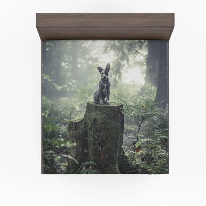 Cute Grey and Black Australian Cattle Dog on Mossy Stump in the Forest with Fog: Puppy Fitted Sheet
