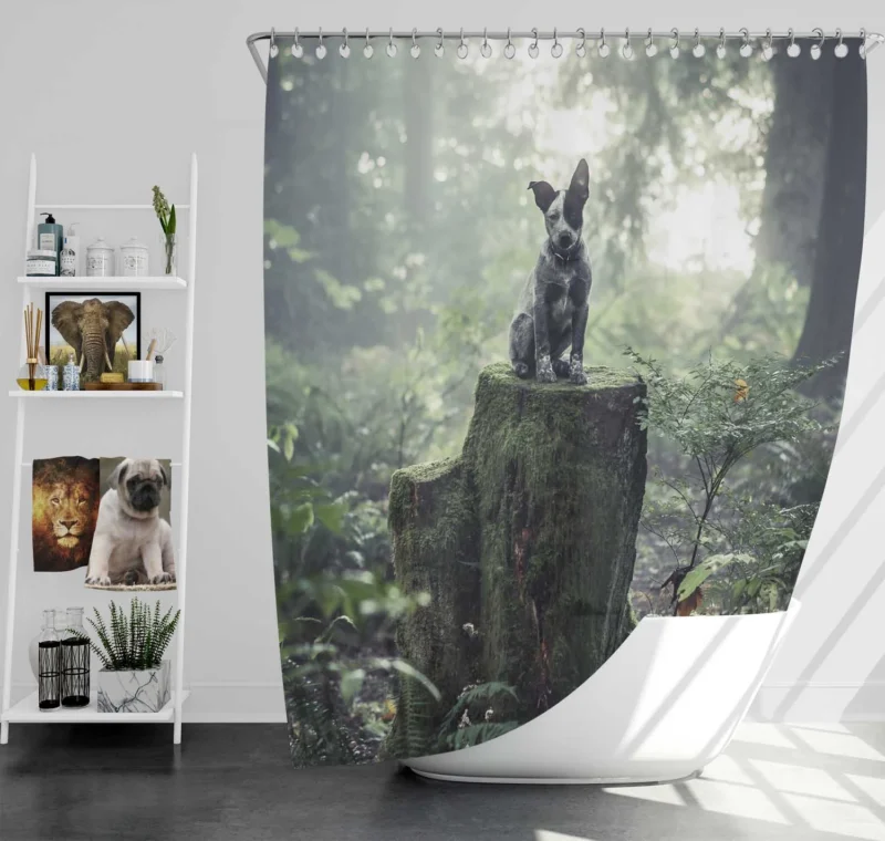 Cute Grey and Black Australian Cattle Dog on Mossy Stump in the Forest with Fog: Puppy Shower Curtain