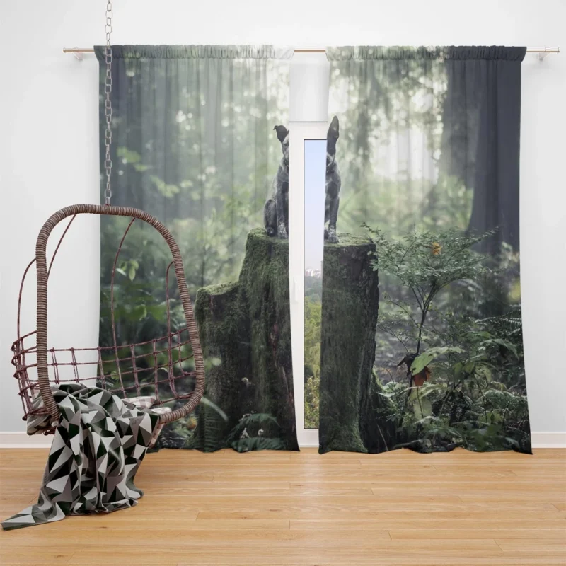 Cute Grey and Black Australian Cattle Dog on Mossy Stump in the Forest with Fog: Puppy Window Curtain