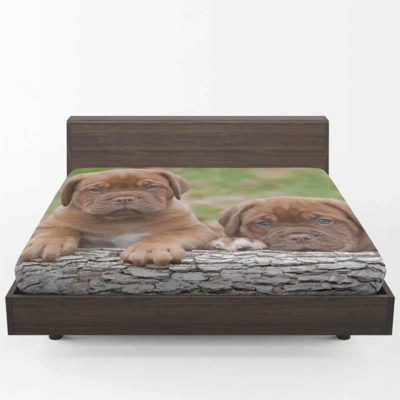 Cute Mastiff Puppies: Dogue de Bordeaux Quartet Fitted Sheet 1