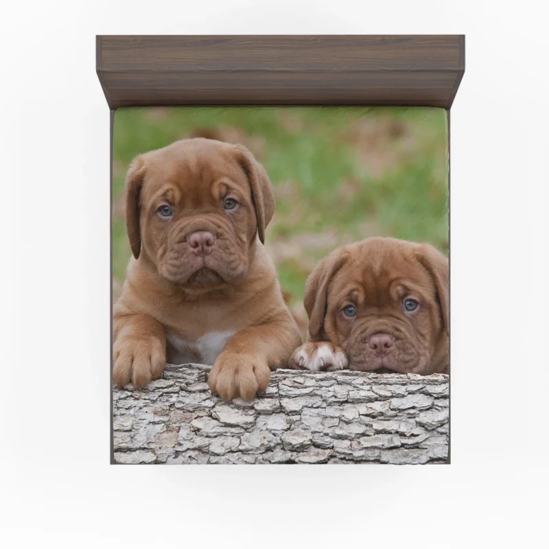 Cute Mastiff Puppies: Dogue de Bordeaux Quartet Fitted Sheet