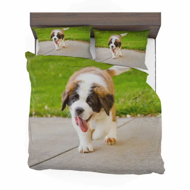 Cute Puppies: Saint Bernard Quartet Bedding Set 1