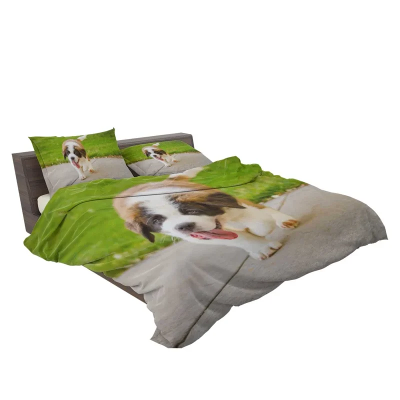 Cute Puppies: Saint Bernard Quartet Bedding Set 2