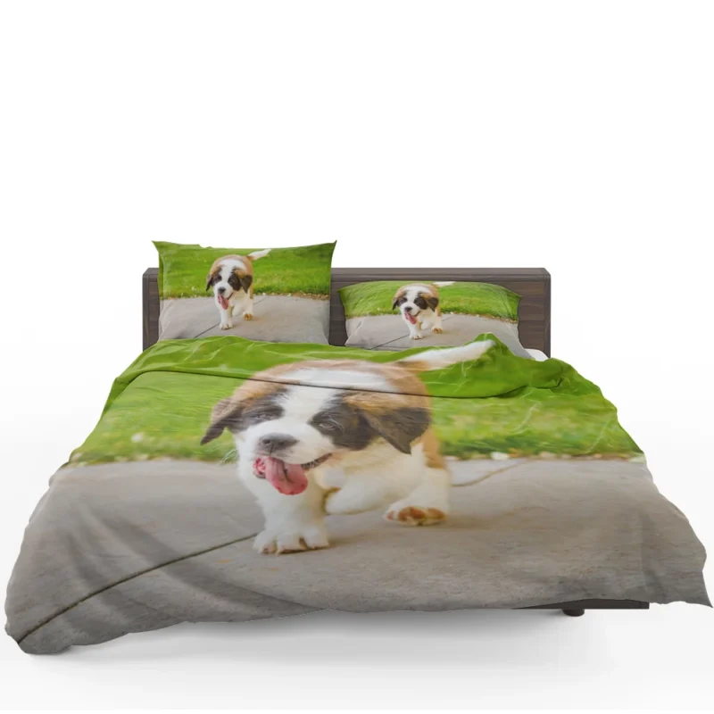 Cute Puppies: Saint Bernard Quartet Bedding Set