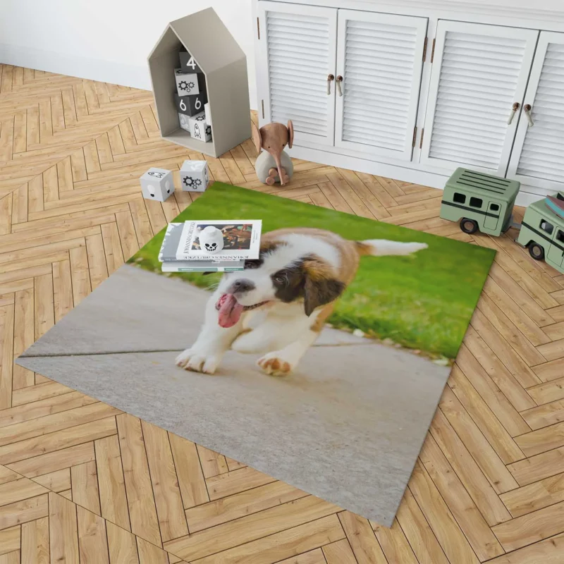 Cute Puppies: Saint Bernard Quartet Floor Rug 1