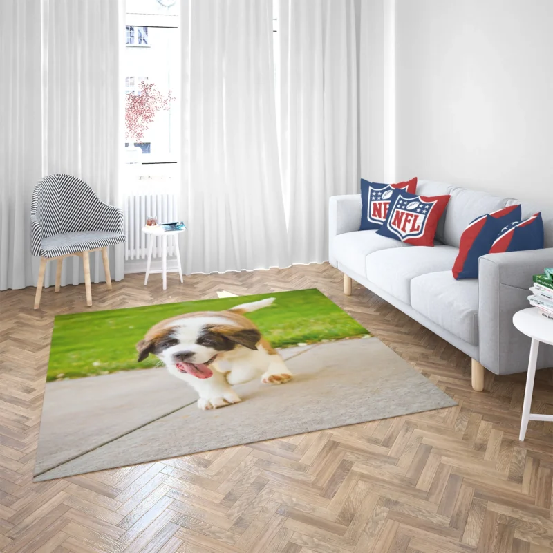 Cute Puppies: Saint Bernard Quartet Floor Rug 2